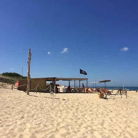 Havre De Paix Familial A Hossegor 索尔特奥瑟戈尔