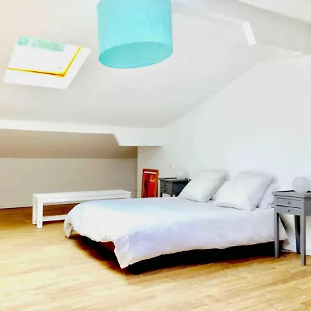 度假居 Havre De Paix Familial A Hossegor 索尔特奥瑟戈尔